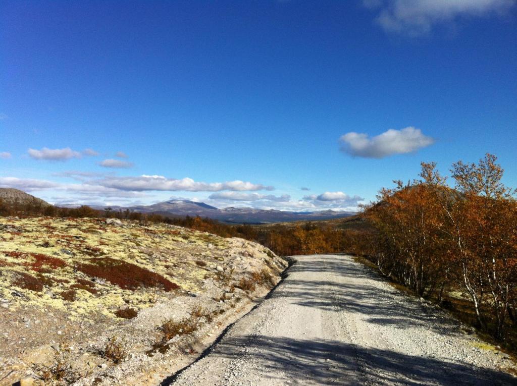 Lokken Fjellgard Villa Folldal Exteriör bild