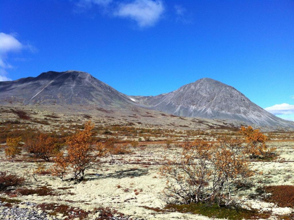 Lokken Fjellgard Villa Folldal Exteriör bild