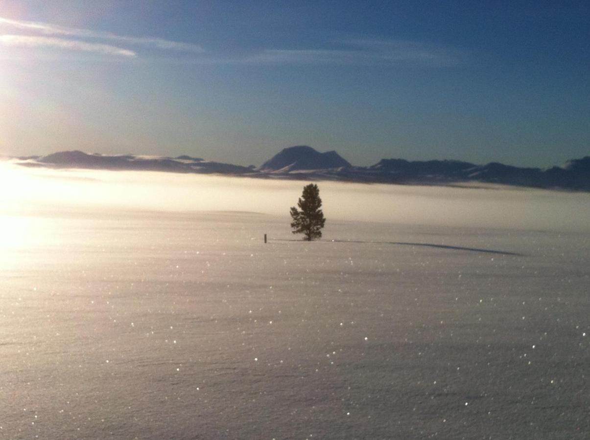 Lokken Fjellgard Villa Folldal Exteriör bild